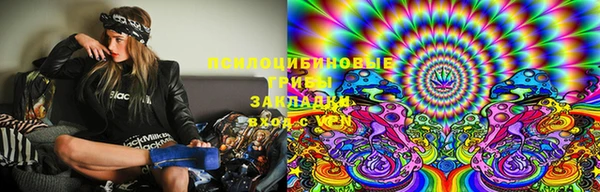 мдпв Фурманов