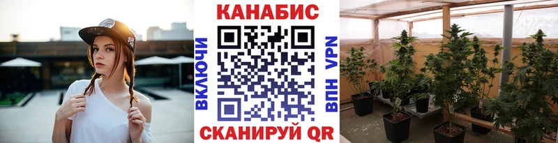 Конопля конопля Калининск